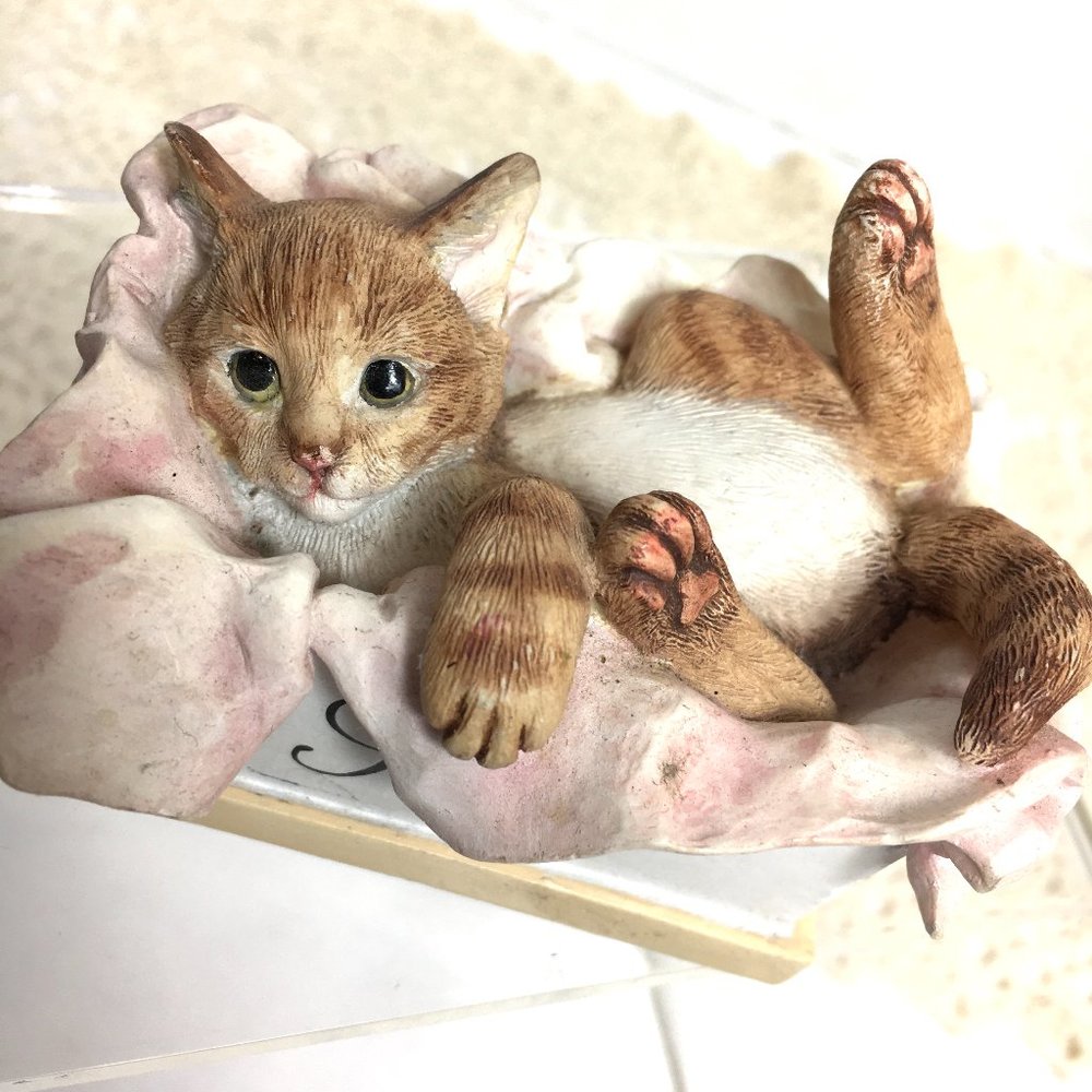 * Kitten Playfully Laying in A Scarpe Roma Shoe Box Resin  Figurine